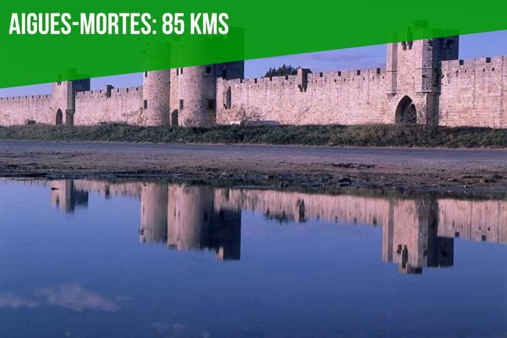Les Brunes - Wi-Fi - Centre Ville - Proche Theatres أفينيون المظهر الخارجي الصورة